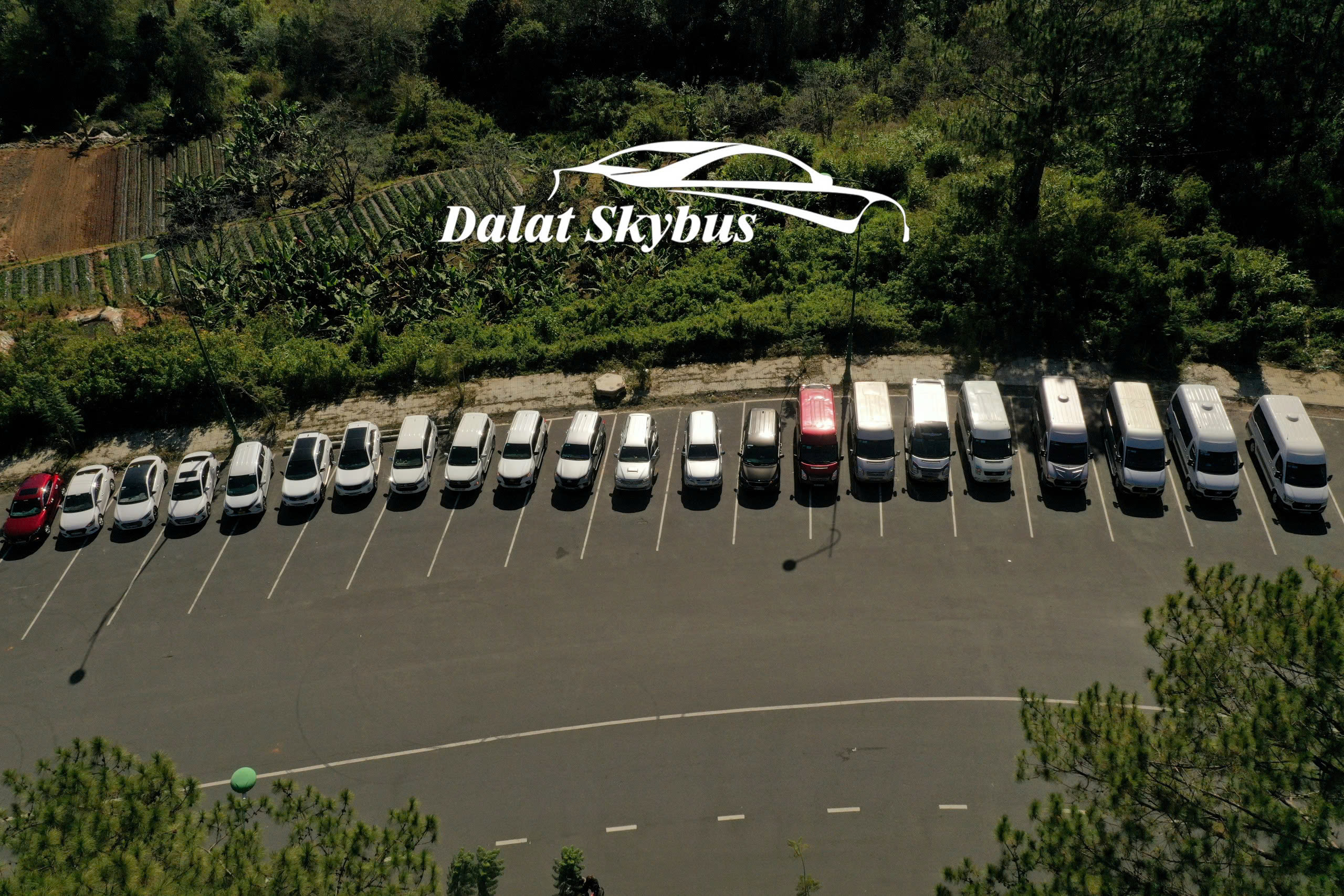 Taxi Sân Bay Đà Lạt Chuyến Sáng Sớm